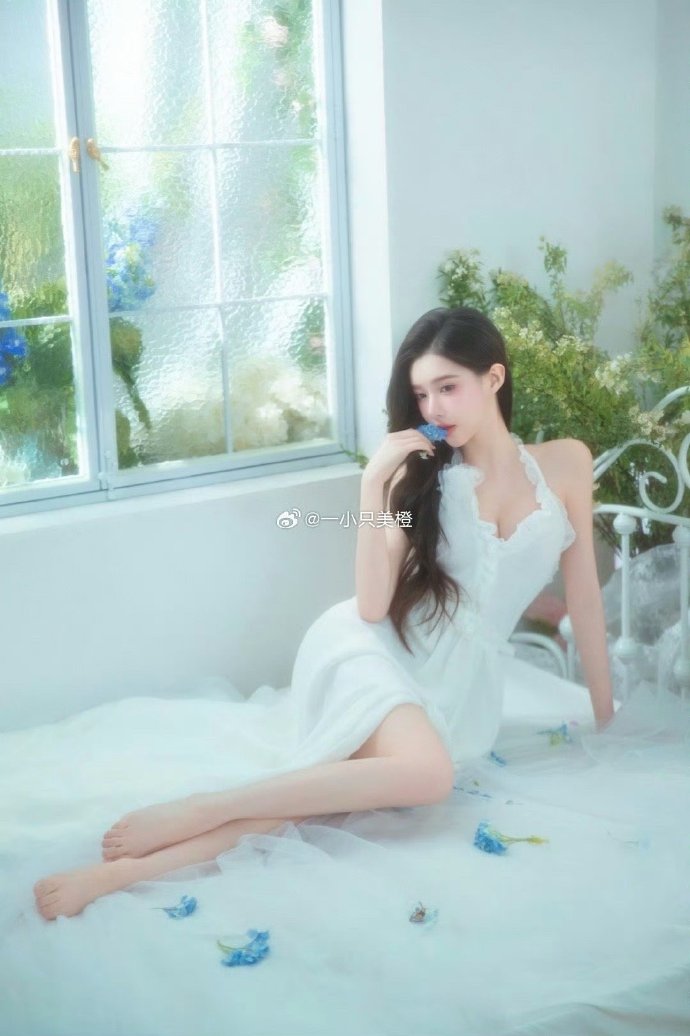 肖申克的救赎 封面